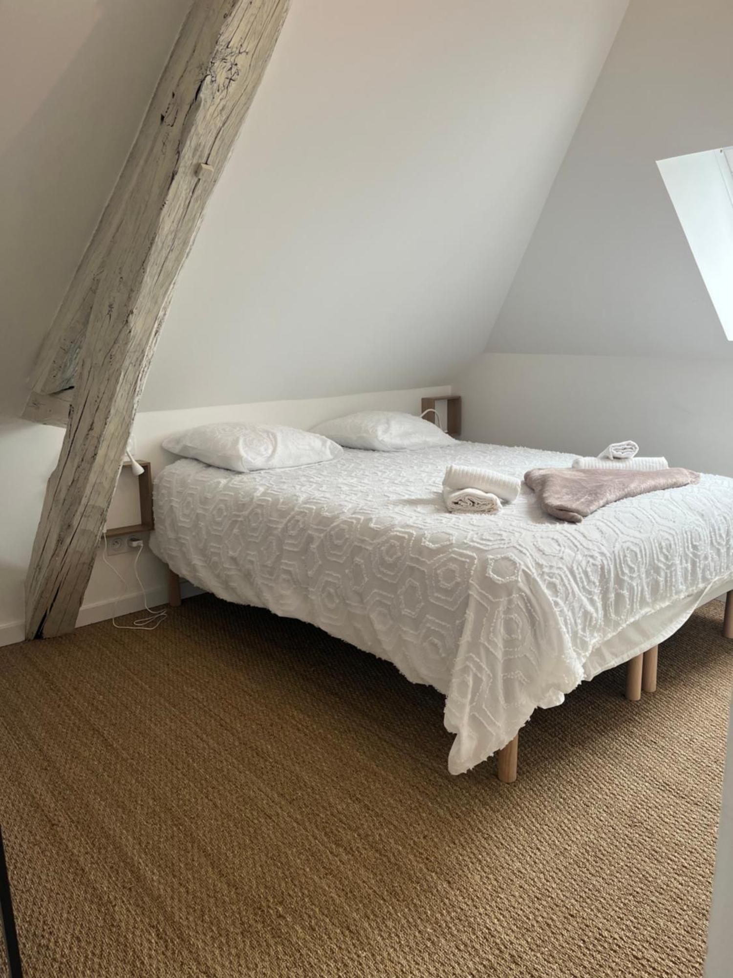 Sejour De Charme Au Boheme Leilighet Amboise Eksteriør bilde